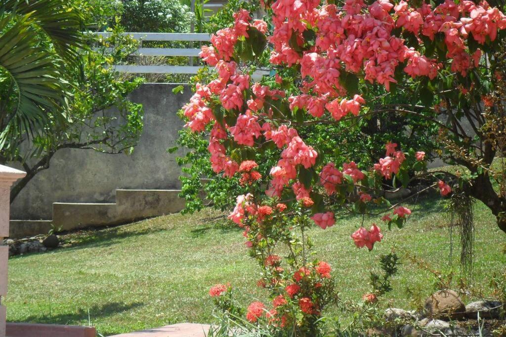 Idilio Escape Διαμέρισμα Ότσο Ρίος Εξωτερικό φωτογραφία